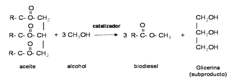 Científicos chinos utilizan crustáceos para obtener biodiésel - Grafico 01