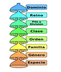 Importancia de la Taxonomía de Activos Físicos para la Confiabilidad y del Mantenimiento - Grafico 6